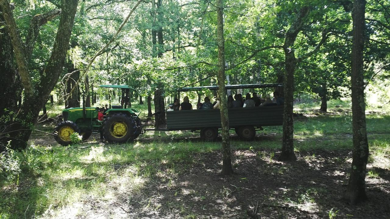 Estancia Turistica San Pedro De Timote Reboledo Kültér fotó